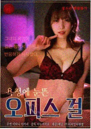 北纬四十度剧集封面